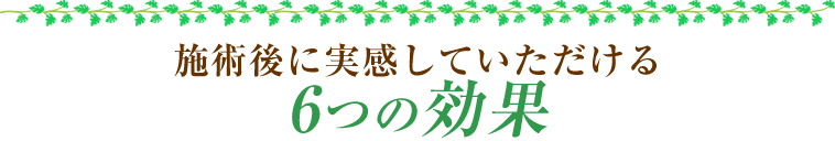 施術後に実感していただける6つの効果